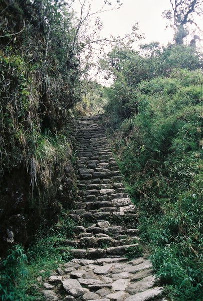 Cesty postavené pre Inkov stoja dodnes aj v dažďových pralesoch.
